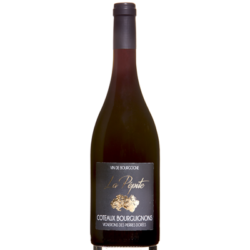 Bourgogne "La Pépite"