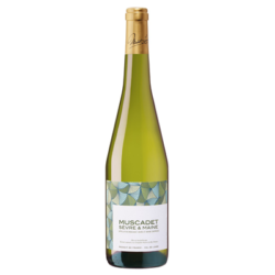 Muscadet