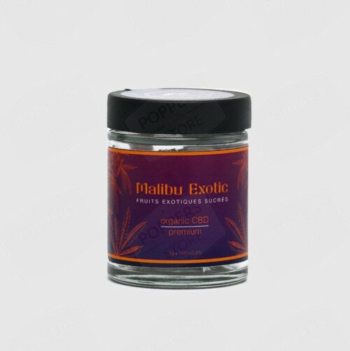 CBD Malibu Exotic