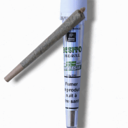 Preroll au CBD 100% herbe