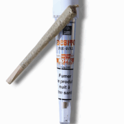 Preroll au CBD mix : résine + herbe